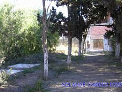 LA SENIA CIMETIERE (5) 2005